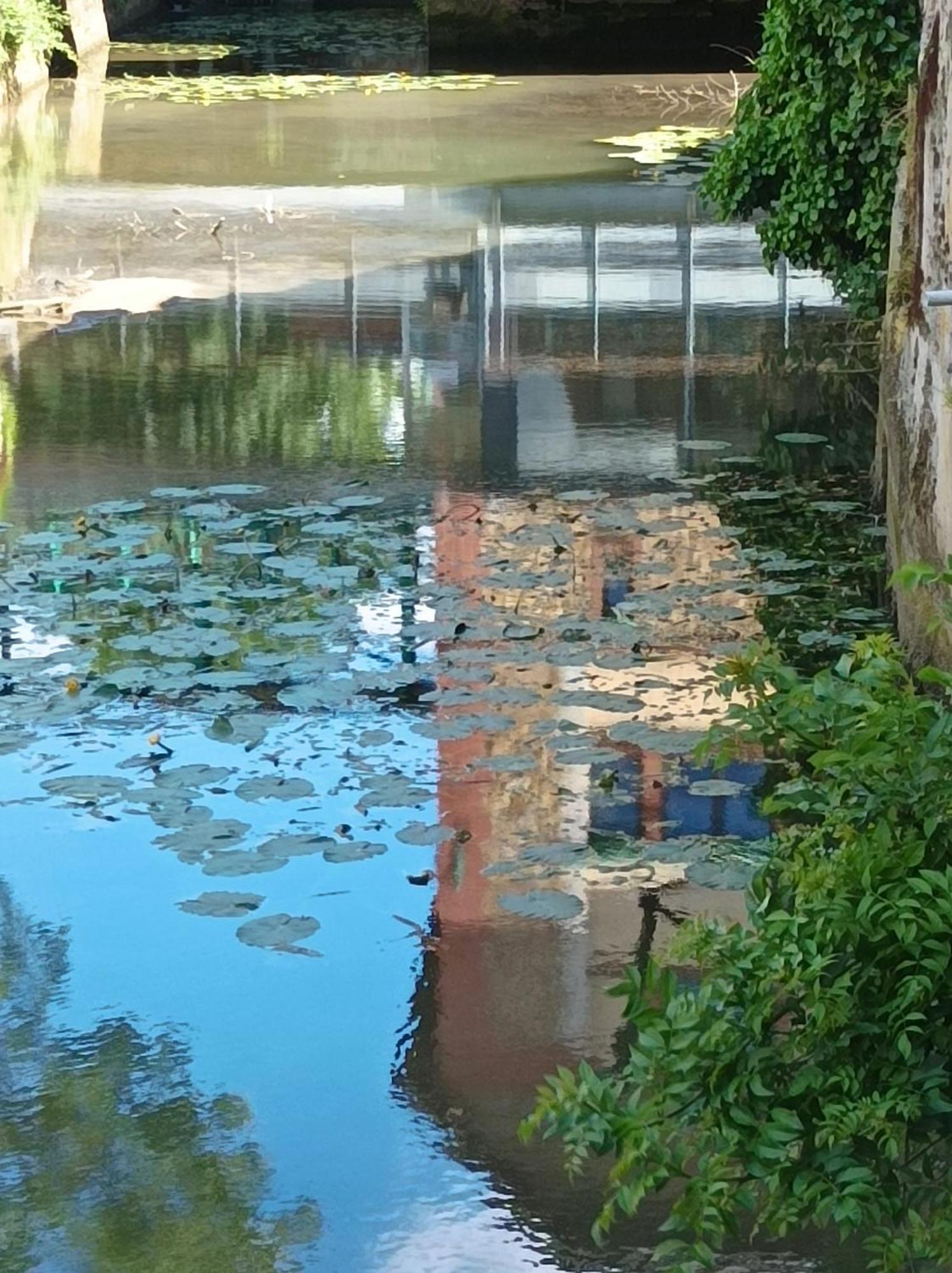 La Maison Au Bord De L'Eau Gracay Buitenkant foto